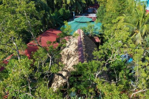 Priroda u blizini hotela