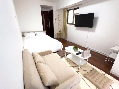 TV a/nebo společenská místnost v ubytování Suke Home Oshiage