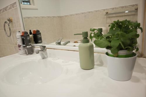 a bathroom sink with a bottle of soap and a plant at Double room with shared bathoom in Auburn