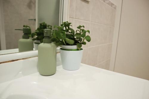 a bathroom counter with two bottles of soap and a plant at Double room with shared bathoom in Auburn