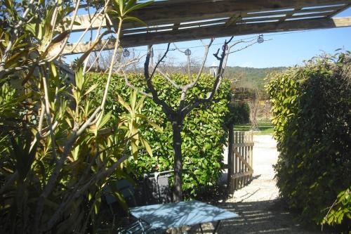 a garden with a bench and a hedge at Lou mas li Pitchoun "Le Poirier" in Gordes