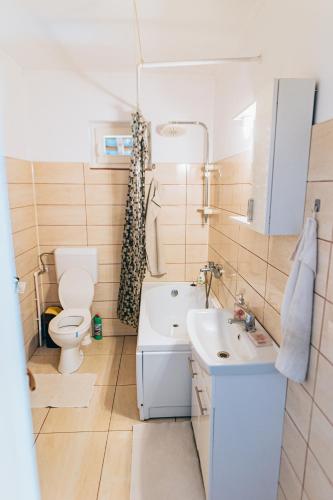 a small bathroom with a toilet and a sink at Bükkfői vendégház in Borzont