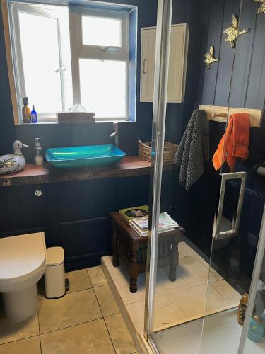 Un baño azul con inodoro y lavabo. en Hikers Rest, en Findon