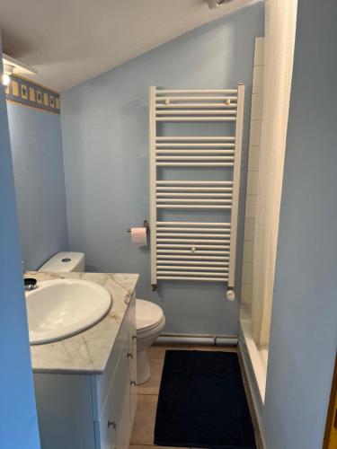 een badkamer met een witte wastafel en een toilet bij Les Logis du Haut-Folin in Arleuf