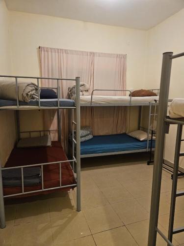 a dorm room with three bunk beds in it at Sheeva Backpacker Hostel in Abu Dhabi