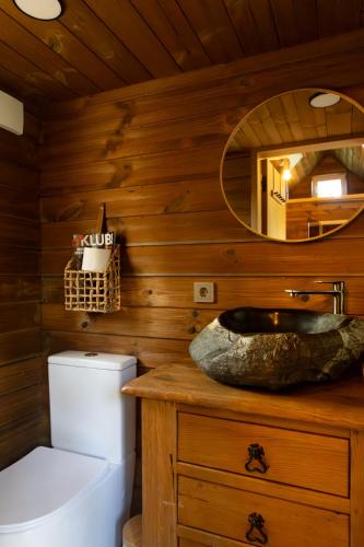 Un baño con inodoro, lavabo y espejo. en Baltrozes, en Ādaži