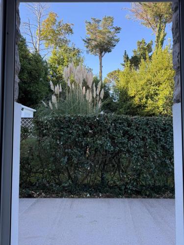 Résidence Château d'Acotz - Appartements avec piscine à 300m des Plages & Océan photo 3