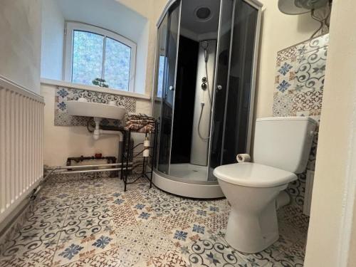 a bathroom with a toilet and a shower and a sink at The 1st Apartment in Cēsis