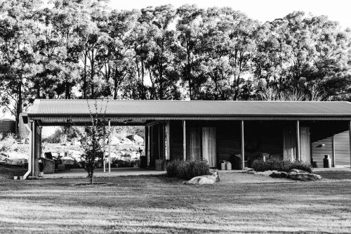 un perro tirado en el césped delante de una casa en The Werombee Hive, en Theresa Park
