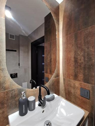 a bathroom with a sink and a mirror at Apartament Opawska 2 in Gliwice