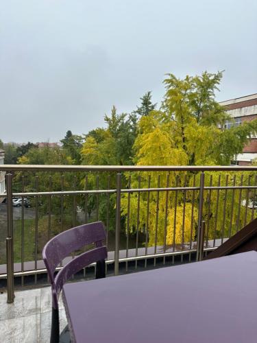 Gallery image of Бутик хотел ресторант брасери и релакс зона Сажитариус in Kyustendil