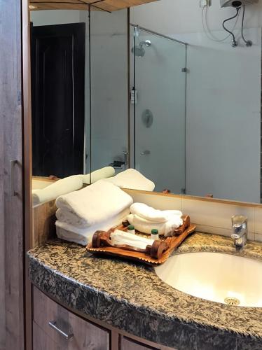 a bathroom counter with a sink and a mirror at Marigold House in Amritsar