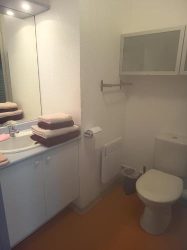 カルヴィッソンにあるMaison Le Poussinのトイレと洗面台と鏡のある浴室
