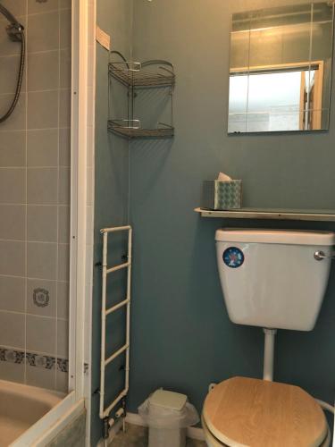 un baño con inodoro y ducha en Ryedale House, en Sleights