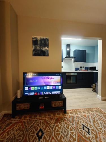 Victoria's Bright Georgian Apartment photo 6