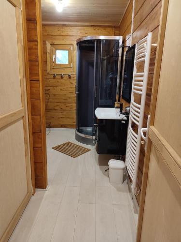a bathroom with a shower and a toilet and a sink at Chalet ICARE in Saint-Rémy-du-Nord