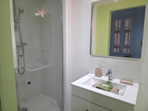 尼斯Le Virenque的带水槽和淋浴的白色浴室