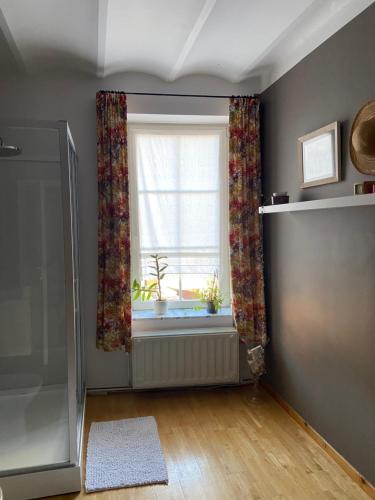 Pont-à-CellesにあるLe pigeonnier des voyageurs Le pigeonnier des voyageurs aéroport Charleroiのカーテンとラグが掛かった窓のあるバスルーム