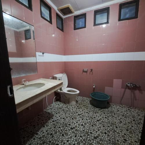 a pink bathroom with a sink and a toilet at Villa Montana 2 in Cicadas