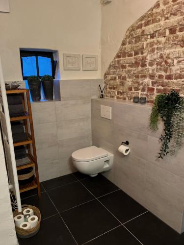 a bathroom with a toilet and a brick wall at Vakantiewoning Fruitschuur de Morel in Venlo