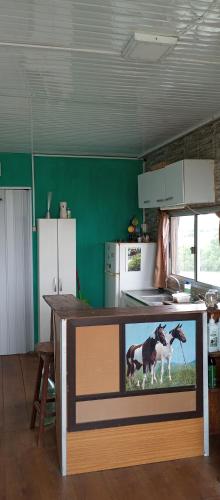 a kitchen with a tv with a picture of a horse on it at Casa Campo in Cufré
