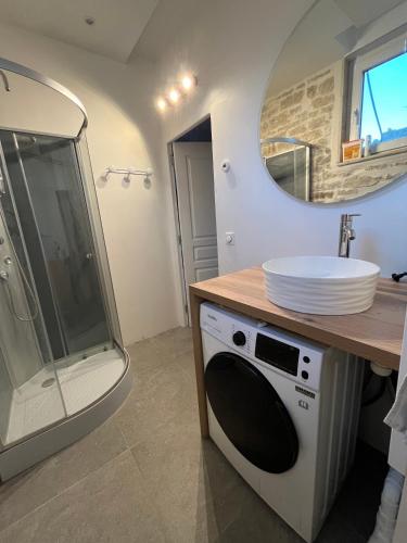 un baño con lavabo y espejo en Moutarde & Elégance de Dijon, en Dijon