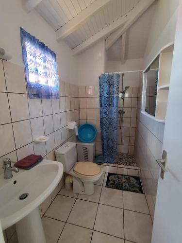a small bathroom with a toilet and a sink at L'hibiscus in Petit-Canal