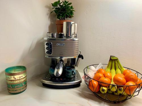 a food processor and a bowl of fruit on a counter at Spacious Private Home and Plant Paradise in Limerick City in Limerick
