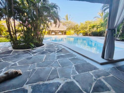 a dog laying on the ground next to a swimming pool at Casa Madro in Malindi