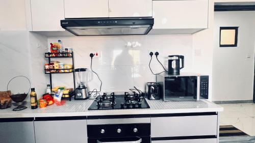 Kuchyň nebo kuchyňský kout v ubytování Orchid residency