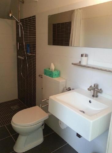 a bathroom with a toilet and a sink at Appartement Sint Jan in Den Bosch