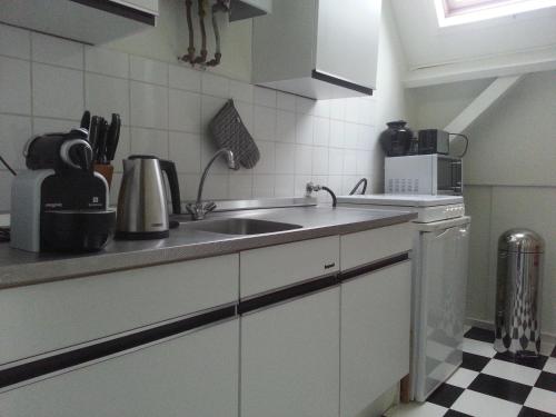 Η κουζίνα ή μικρή κουζίνα στο Appartement Sint Jan