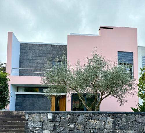 CASA Raiz