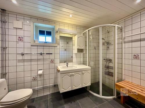 ヘムセダールにあるSpacious cabin in Hemsedal with sauna, near slopesのトイレ、シャワー、洗面台を備えたバスルーム