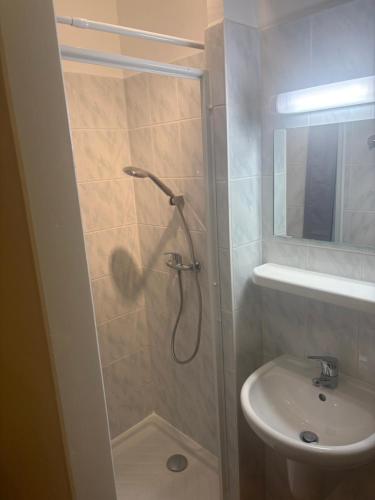 a bathroom with a shower and a sink at Chez antho chambres et table d hôtes in Betton-Bettonet