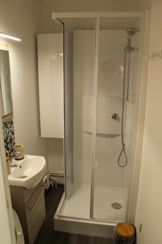 a bathroom with a shower and a sink at Cozy Air-Conditioned - Central - Close to Train Station in Brive-la-Gaillarde