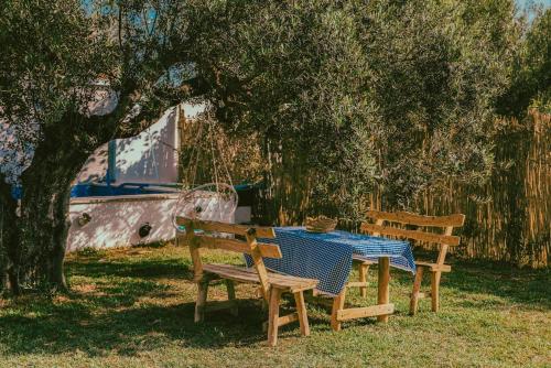 Zahrada ubytování Dar Ajmia Villa