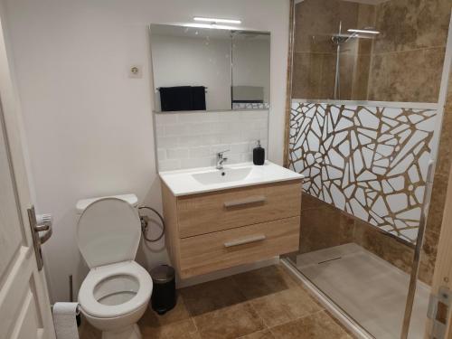 Un baño con inodoro, lavabo y ducha. en La randonnée des vignobles, en Essômes-sur-Marne