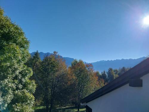 a view of a forest of trees from a house at Casa Claudia in Carano