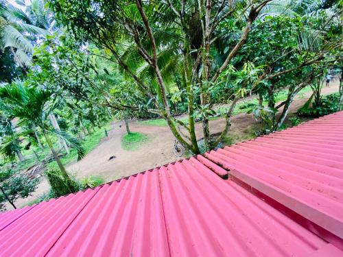 un tejado rojo con un parque al fondo en Rest and Recharge homestay airport transit katunayaka, en Minuwangoda