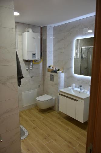 a bathroom with a toilet and a sink at Countryside rest house in Novi Banovci