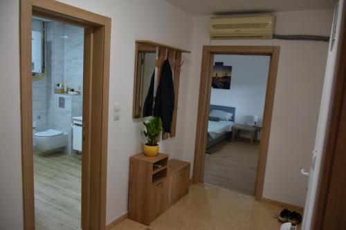 a room with a bathroom with a sink and a mirror at Countryside rest house in Novi Banovci