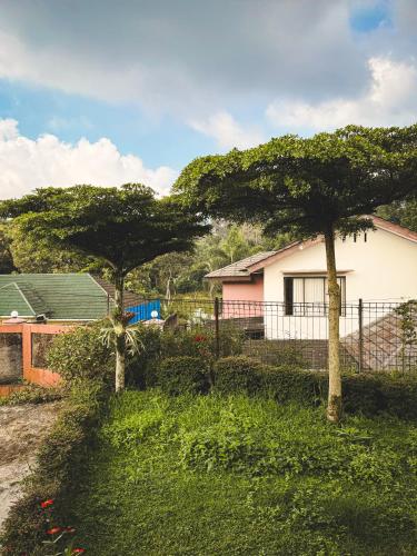 un patio con dos árboles y una casa en Villa Restu 5 Cozy 2BR Mountain View in Puncak, en Paragajen