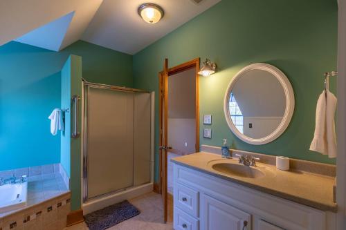 a bathroom with a shower and a sink and a mirror at Lazy Bear Inn in Sugar Grove