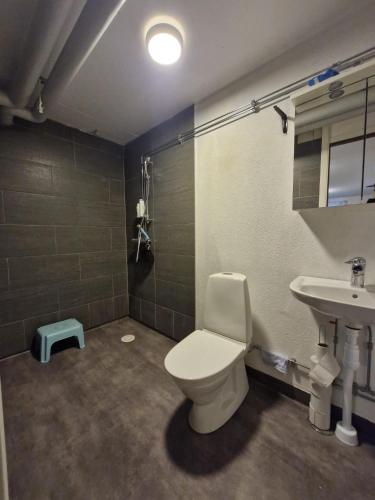 a bathroom with a toilet and a sink at Lägenhet i Lindesberg 50kvm in Lindesberg