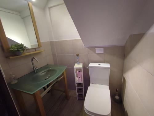 a small bathroom with a toilet and a sink at Chez Christine et Fred in Villedaigne