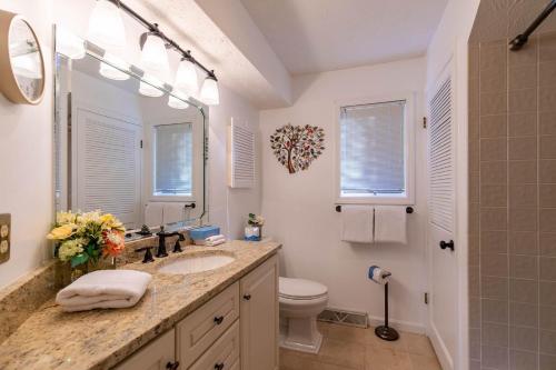 a bathroom with a sink and a toilet and a mirror at Chetola: Holly 4 in Blowing Rock