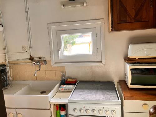 a small kitchen with a sink and a microwave at Chalet authentique au cœur du Mont d'Or in Métabief