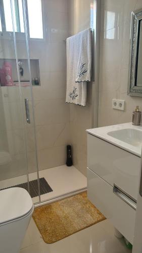 a bathroom with a shower and a toilet and a sink at Habitaciones acogedoras buen trato in Mairena del Aljarafe