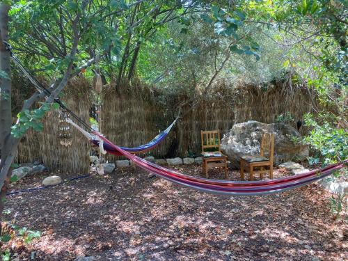 a hammock in the middle of a garden at צימר השקדיה in ‘En Hod